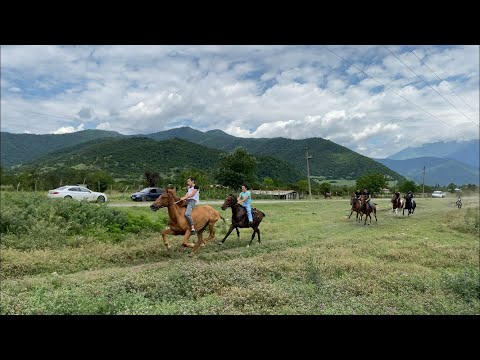 საცხენოსნო კლუბი “ჩანქერის” მიერ ჩატარებული დოღი პანკისში 2.08.2020